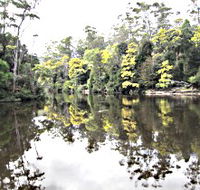 Arthur River - Accommodation VIC