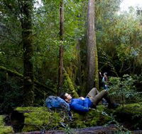 The Tarkine Drive - Accommodation VIC