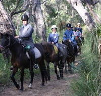 Mirravale Horse Riding School - Accommodation VIC