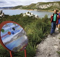Rocky Cape National Park - Accommodation VIC