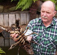 Lobster Ponds - Accommodation VIC