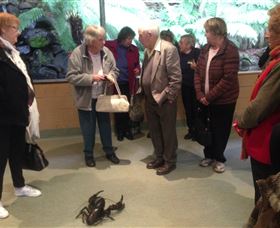 Lobster Ponds - Accommodation VIC 1