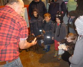 Lobster Ponds - Accommodation VIC 3