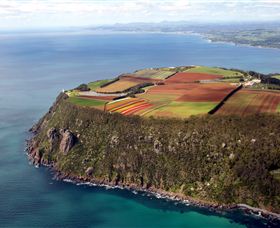 Table Cape - Accommodation VIC 0