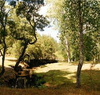 Oldina Picnic Area - Accommodation VIC