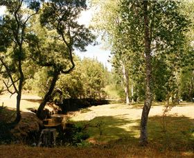 Oldina Picnic Area - Accommodation VIC 0