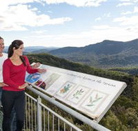 Whyte Hills Lookout - Accommodation VIC