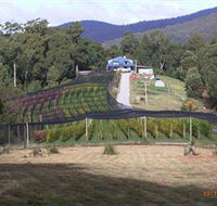 Motton Terraces - Accommodation VIC