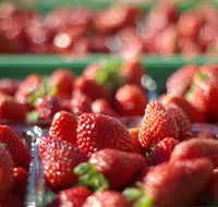 Turners Beach Berry Patch - Accommodation VIC