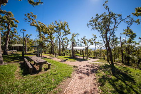 Rockhampton To Carnarvon Gorge Four Night Drive - Accommodation VIC 1