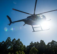 Tall Timbers Adventure Tours - Accommodation VIC