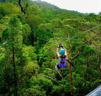 Canyon Flyer - Accommodation VIC