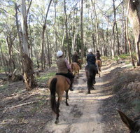 Silver Brumby Trails - Accommodation VIC