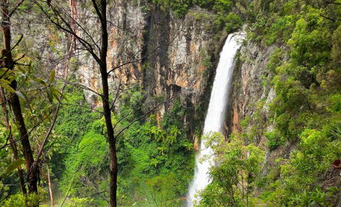 Southern Cross Day Tours Gold Coast - Accommodation VIC 8
