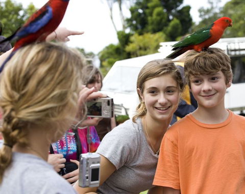 Southern Cross Day Tours Gold Coast - Accommodation VIC 21