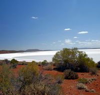 Gawler Ranges Wilderness Safaris - Accommodation VIC