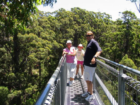 Out Of Sight Tours - Accommodation VIC 15