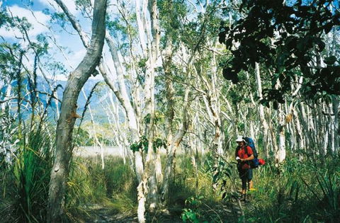 Thorsborne Trail, Hinchinbrook Island National Park - Accommodation VIC 1