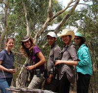 Echidna Walkabout Nature Tours - Accommodation VIC