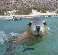 Calypso Star Charters - Accommodation VIC
