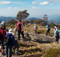 Hedonistic Hiking - Accommodation VIC