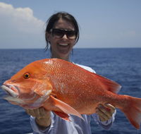 Absolute Ocean Charters - Accommodation VIC