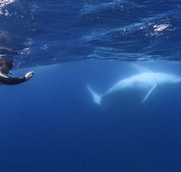 Sunreef Mooloolaba - Accommodation VIC