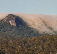 North Queensland Wildscapes Phototours - Accommodation VIC