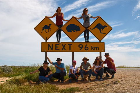 Nullarbor Traveller - Accommodation VIC 35