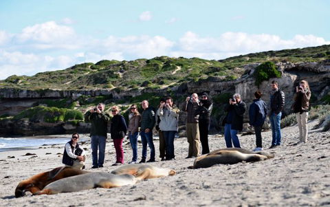 Kangaroo Island Odysseys - Accommodation VIC 26