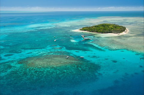 Big Cat Green Island Reef Cruises - Accommodation VIC 6