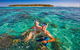 Big Cat Green Island Reef Cruises - thumb 12