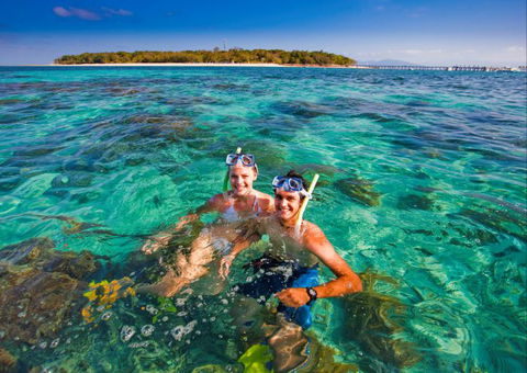 Big Cat Green Island Reef Cruises - Accommodation VIC 13