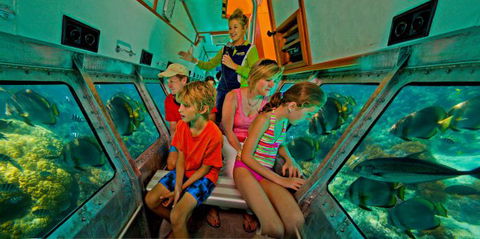 Big Cat Green Island Reef Cruises - Accommodation VIC 14