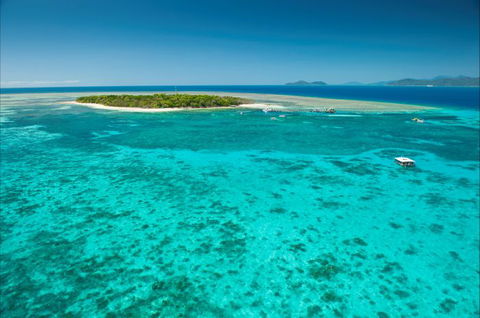 Big Cat Green Island Reef Cruises - Accommodation VIC 17