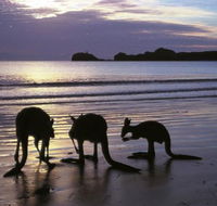 Beachcomber Cove Track - Accommodation VIC