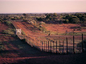 Tri State Safaris - Accommodation VIC 3