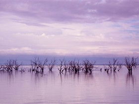 Tri State Safaris - Accommodation VIC 8