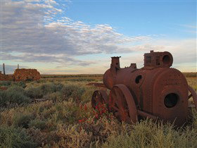 Tri State Safaris - Accommodation VIC 11