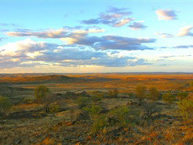 Tri State Safaris - Accommodation VIC 13