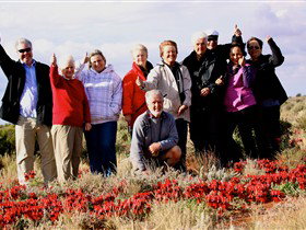 Tri State Safaris - Accommodation VIC 15