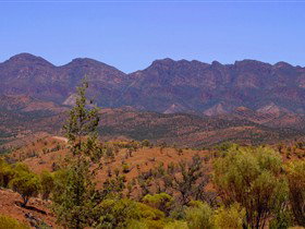 Tri State Safaris - Accommodation VIC 16