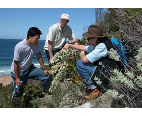 Sapphire Coast Ecotours - Accommodation VIC 1