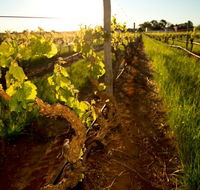 Kaesler Old Vine Vineyard Tour - Accommodation VIC