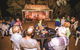 Outback Aussie Day Tours - thumb 4