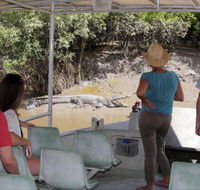 Whitsunday Crocodile Safari - Accommodation VIC