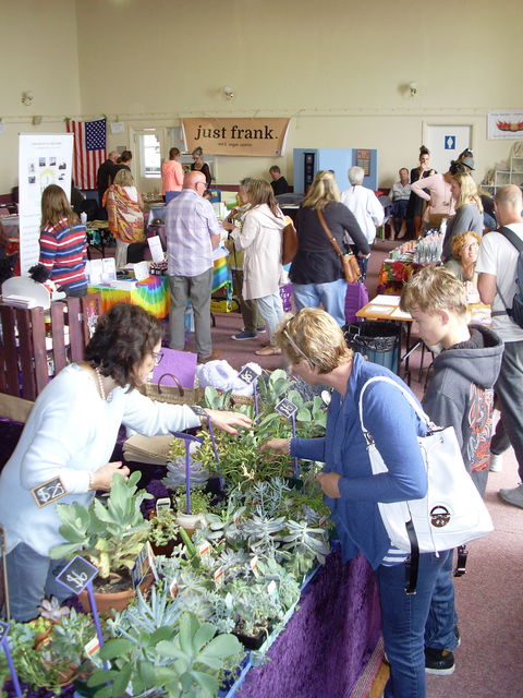 Health Harmony And Happiness Festival - Accommodation VIC 0