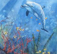 Nadas Fine Art Gallery - Accommodation VIC
