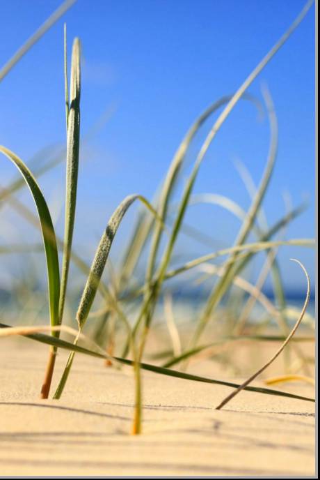 Coastal Visions Photography - Accommodation VIC 1