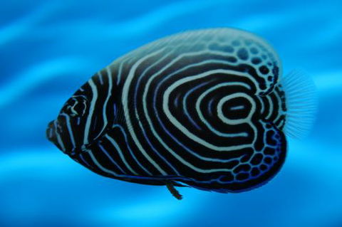 River To Reef Aquarium - Accommodation VIC 2